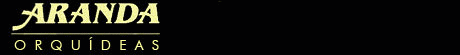 Aranda