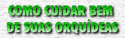 clique para conhecer as orientações do Flávio