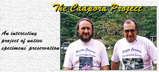 click to know about this project