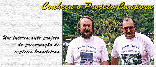 clique para ver a matéria