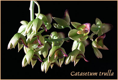 foto/photo: Carlos Ivan