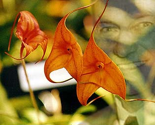 photo: Sergio Araujo