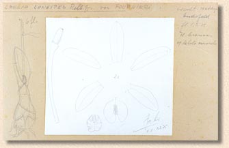 photo/foto: Sergio Araujo