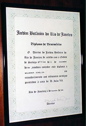 Foto/Photo: Sergio Araujo