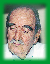 Cyrtopodium polyphyllum. Foto/photo: Sergio Araujo