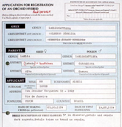 Foto/Photo: Sergio Araujo