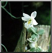 Photo: Marta de Moraes