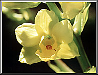 Photo: Marta de Moraes