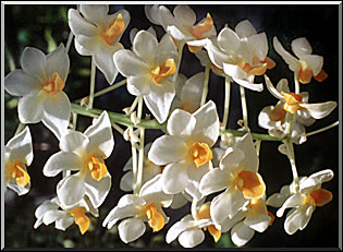 Photo: Marta de Moraes