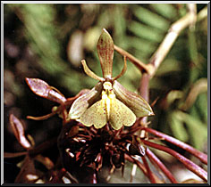 Photo: Marta de Moraes