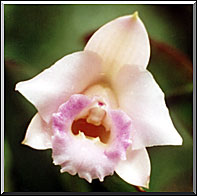 Photo: Marta de Moraes