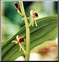 Photo: Marta de Moraes