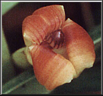 Photo: Marta de Moraes