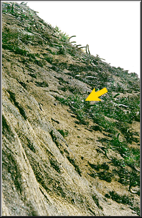 Photo: Sergio Araujo