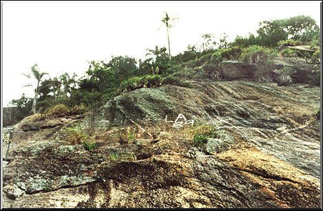 Photo: Sergio Araujo