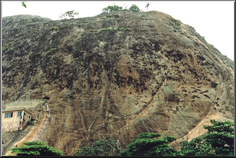 Photo: Sergio Araujo