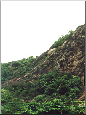 Photo: Sergio Araujo