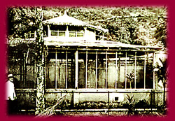 Antigo orquidário do JBRJ. Foto: Arquivo JBRJ