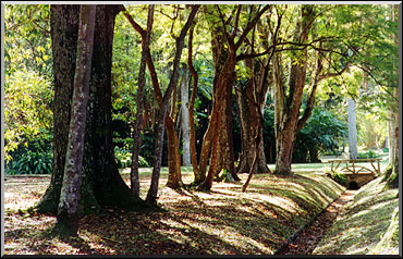 Photo: Sergio Araujo