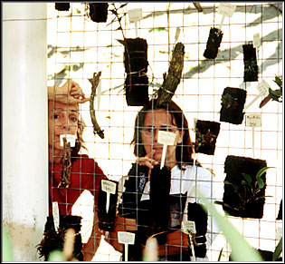 Photo: Sergio Araujo