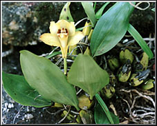 Photo/Foto: Cristina Pangella