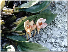 Photo/Foto: Cristina Pangella