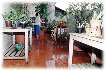 Foto/Photo: Carlos Ivan Siqueira 