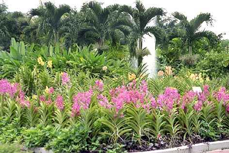 Foto/Photo: Rosário Almeida Braga 