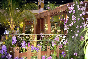 Foto/Photo: M.Rosário Almeida Braga