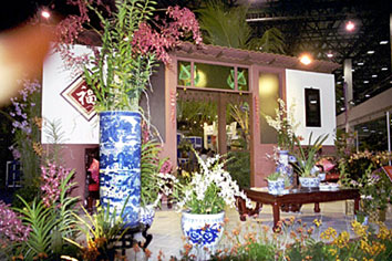 Foto/Photo: M.Rosário Almeida Braga