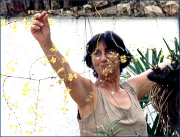 Foto/Photo: Sonia de A. Polonio