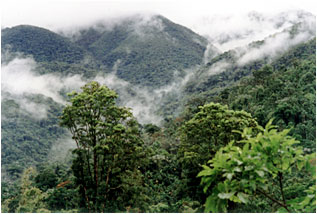 Foto/Photo: Sergio Araujo