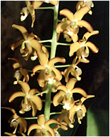 Foto/Photo: Sergio Araujo