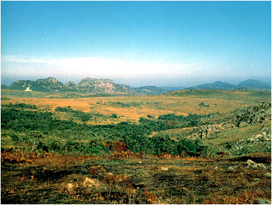 Foto/Photo: Francisco Miranda