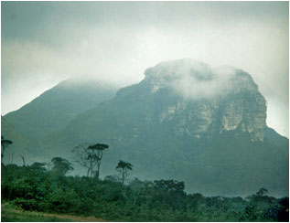 Foto/Photo: Francisco Miranda