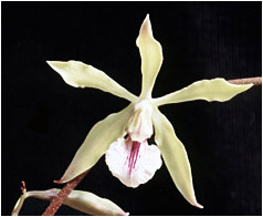 Foto/Photo:Sergio Araujo