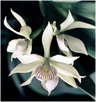 Foto/Photo:Sergio Araujo