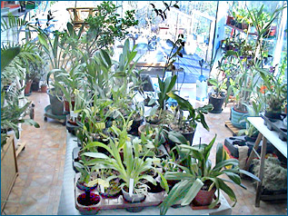 Photo/Foto: Octave Defour