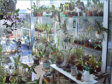 Photo/Foto: Octave Defour