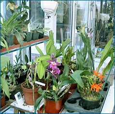 Photo/Foto: Octave Defour