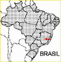 ©Marcos A. Campacci