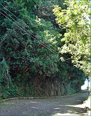 PHOTO / FOTO: SERGIO ARAUJO