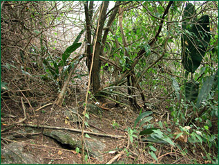 PHOTO / FOTO: SERGIO ARAUJO