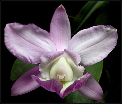 Foto/Photo: Sergio Araujo